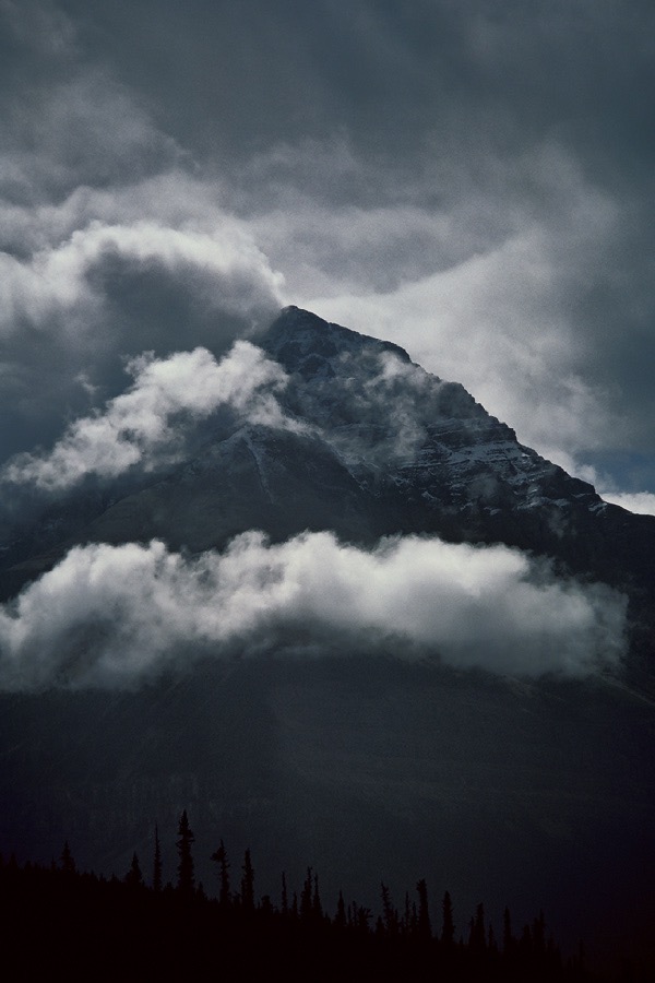198707820 ©Tim Medley - Jasper National Park, AB