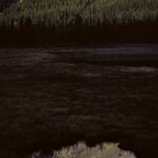 198708311.jpg