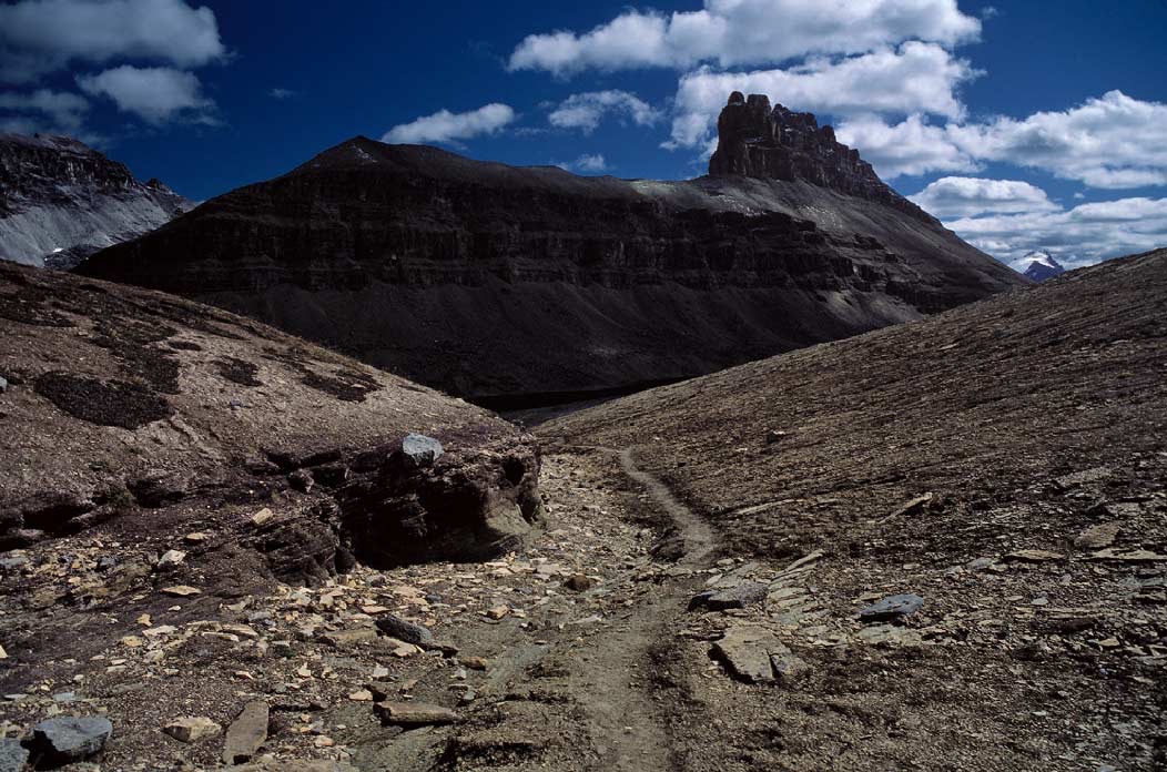 198708511 ©Tim Medley - Lake Katherine, Dolomite Peak, Dolomite Pass Trail, Banff National Park, AB