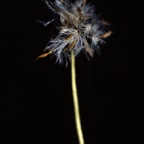 198708630.jpg