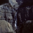 198708834.jpg