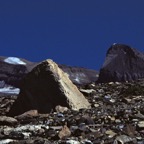198708937.jpg