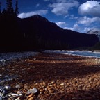 198709228.jpg