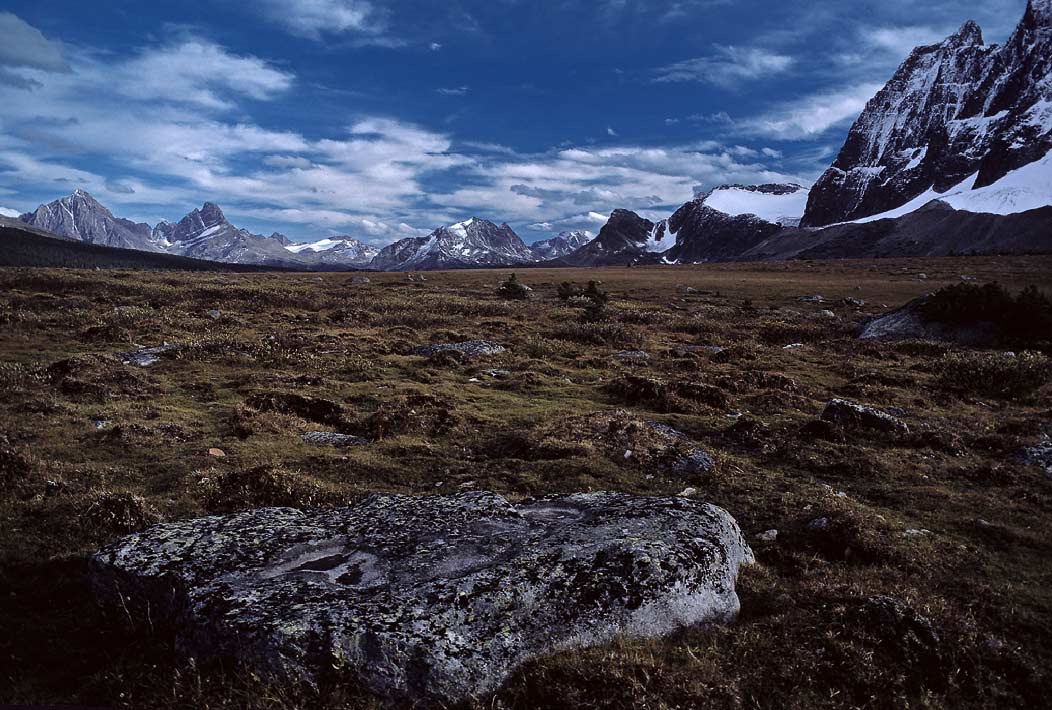 198709632 ©Tim Medley - Tonquin Valley, The Ramparts, Jasper National Park, AB