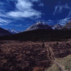 198709909.jpg