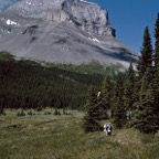 199100235.jpg