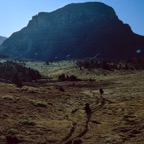 199100425.jpg