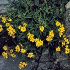 199100633.jpg