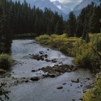 199100705.jpg