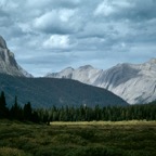 199100729.jpg