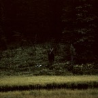 199100806.jpg