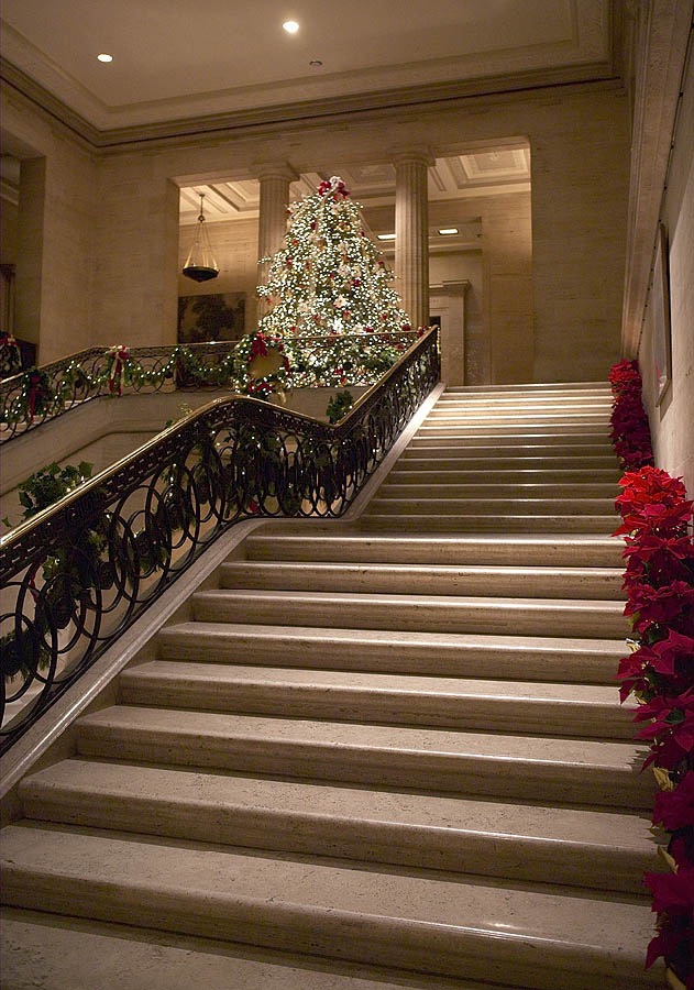 200312242231, &copy;Tim Medley