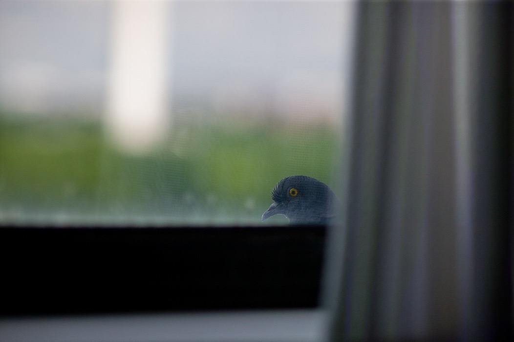 200606125098, &copy;Tim Medley