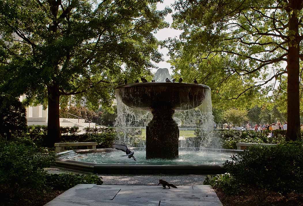 200808211103, &copy;Tim Medley