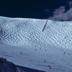 198700215