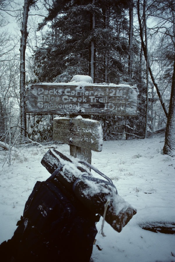 198612W3B28, ©Tim Medley - Great Smoky Mountains National Park, NC/TN