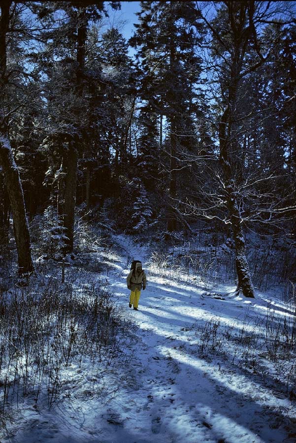 198612W3B30, ©Tim Medley - Great Smoky Mountains National Park, NC
