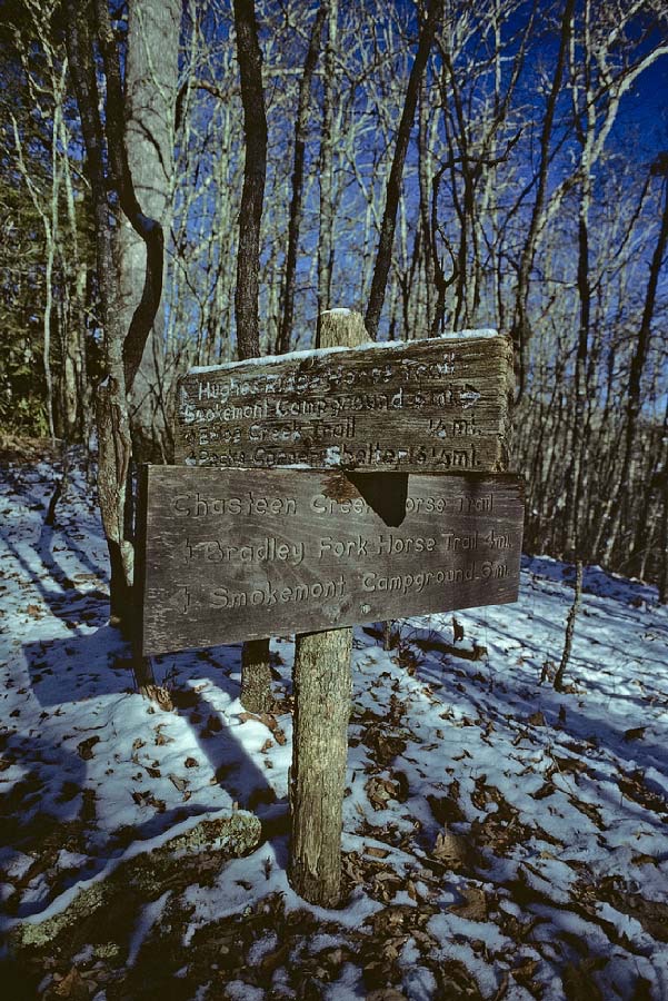 198612W5A03, ©Tim Medley - Great Smoky Mountains National Park, NC