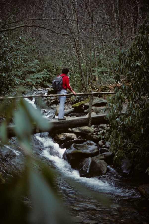 198612W5A15, ©Tim Medley - Alum Cave TR, Great Smoky Mountains, NP, TN