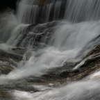 200409293108