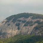 200410013144