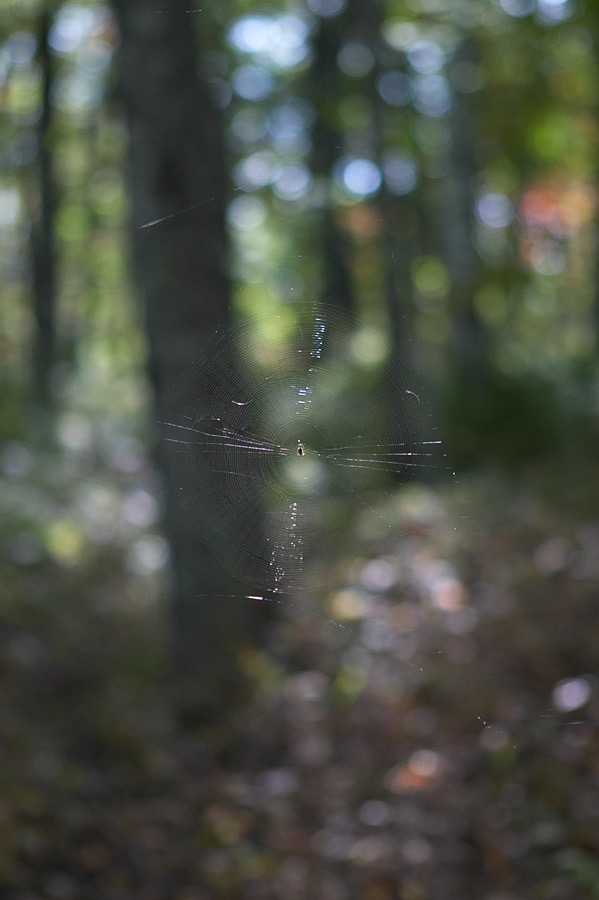 200410013146, ©Tim Medley