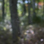 200410013146