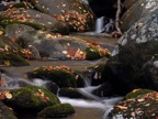 200110221692