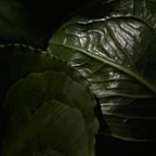 200304240606