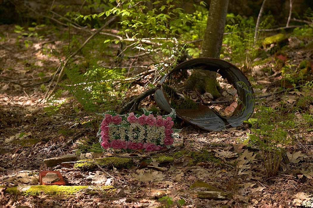 200405042576, ©Tim Medley