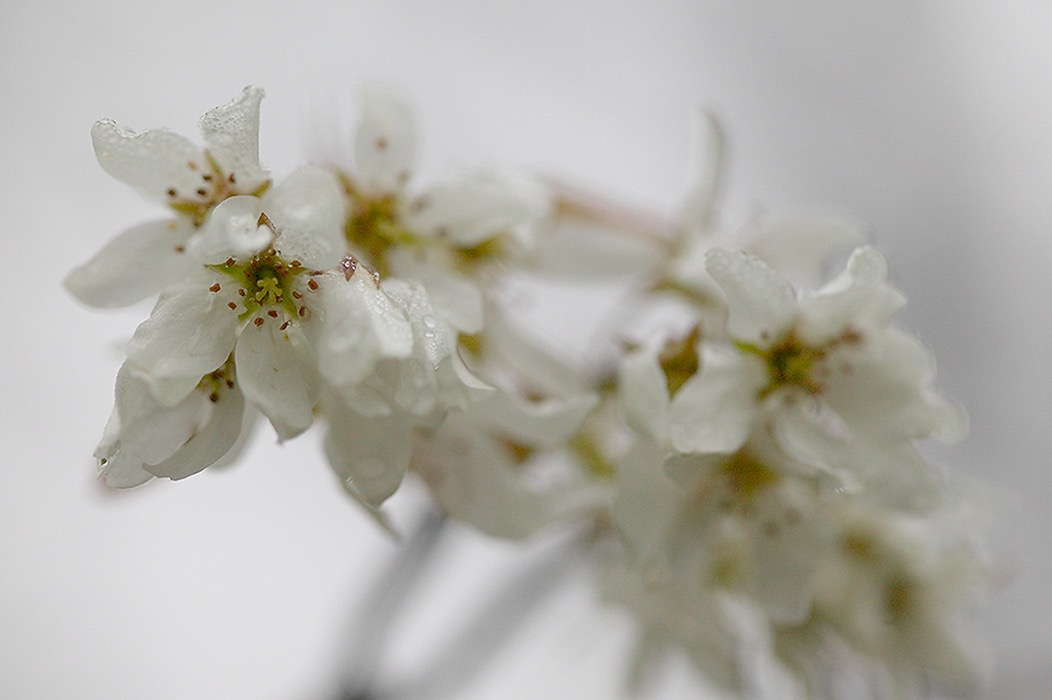 200405082809, ©Tim Medley