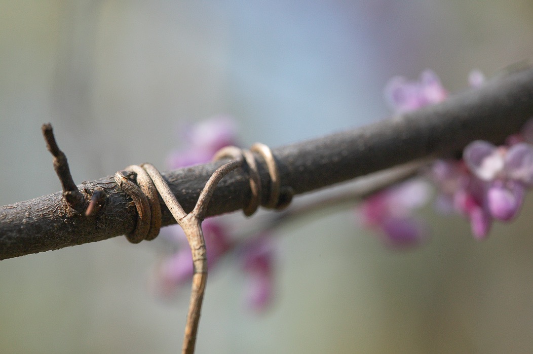 200505013590, ©Tim Medley              