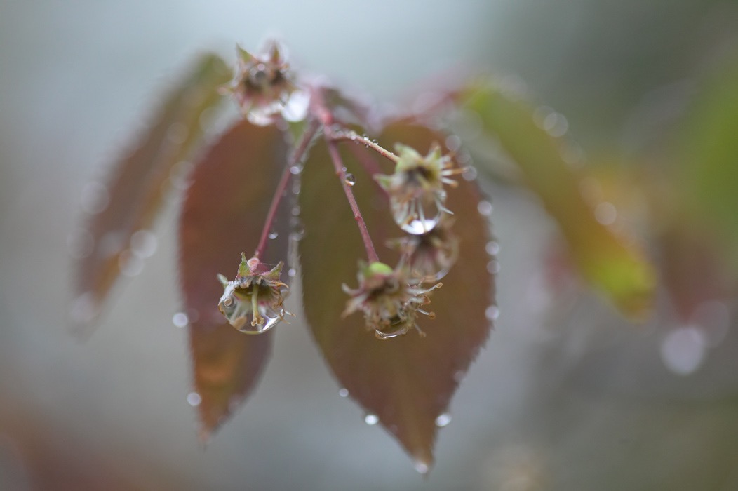 200505203895, ©Tim Medley