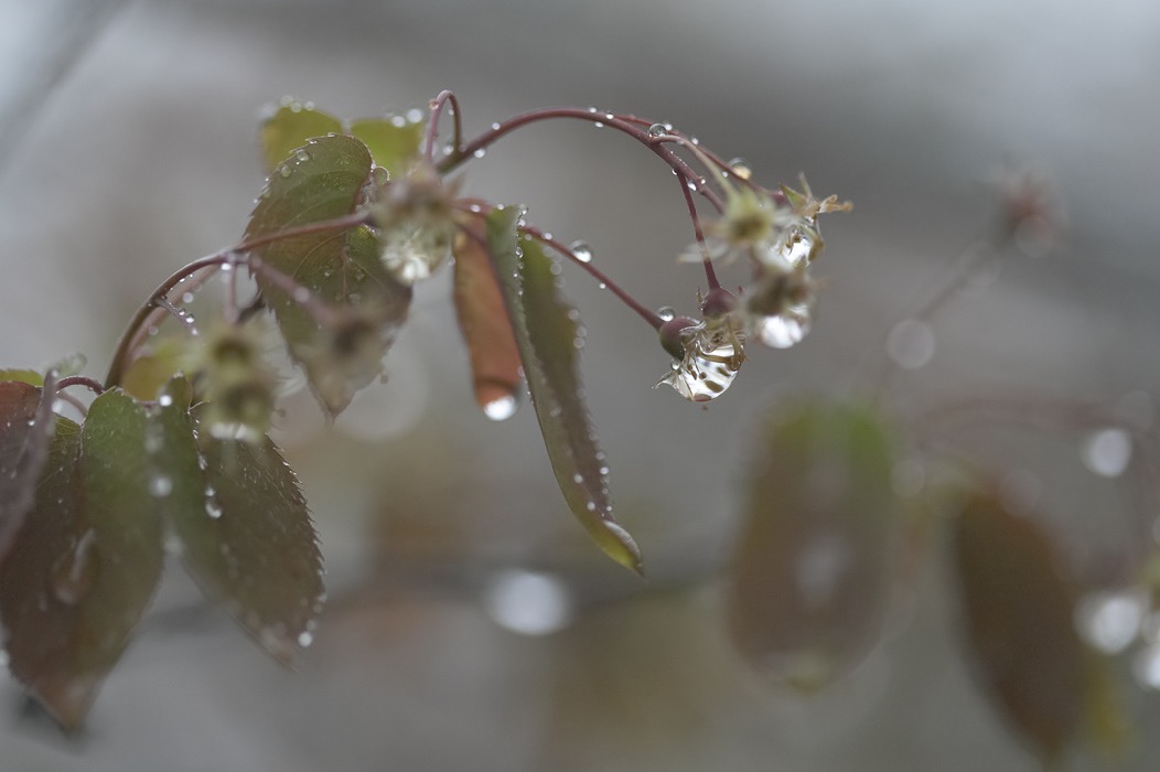 200505203898, ©Tim Medley