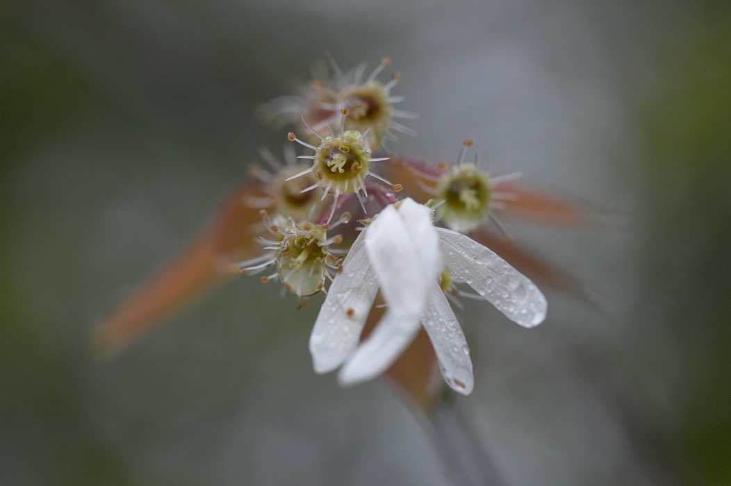 200505203899, ©Tim Medley