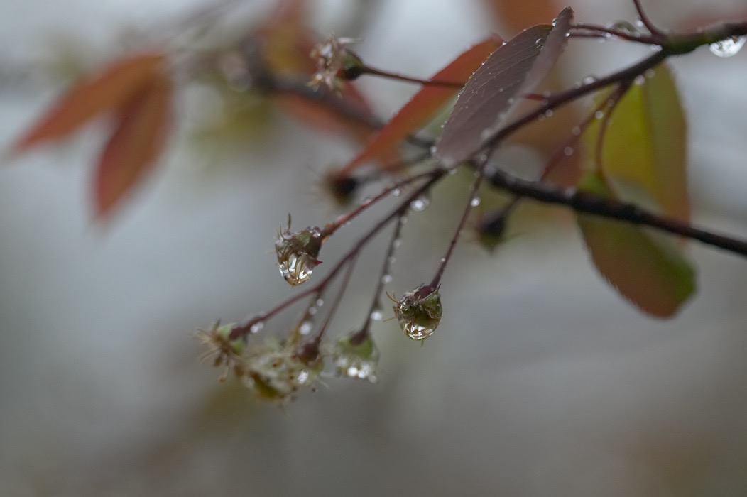 200505203910, ©Tim Medley