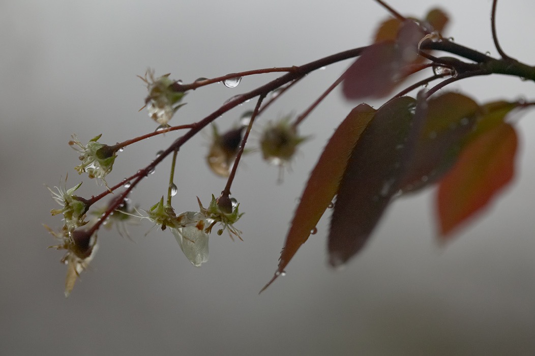 200505203911, ©Tim Medley