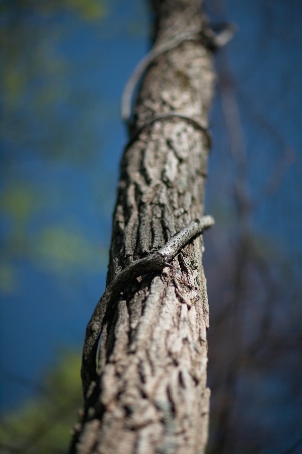 200604184403, ©Tim Medley