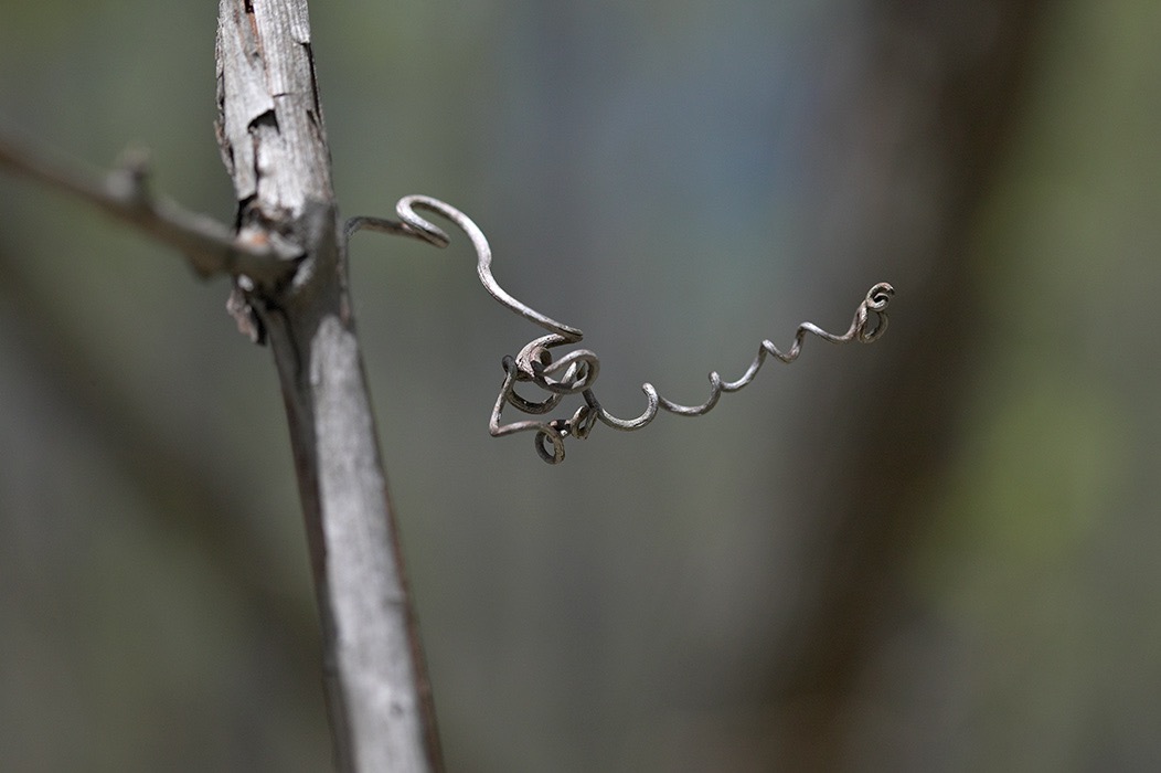 200604264608, ©Tim Medley