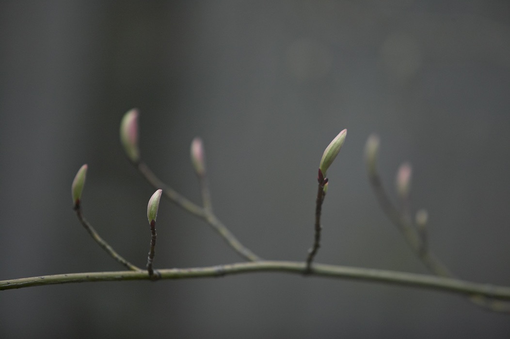 200605084706, ©Tim Medley