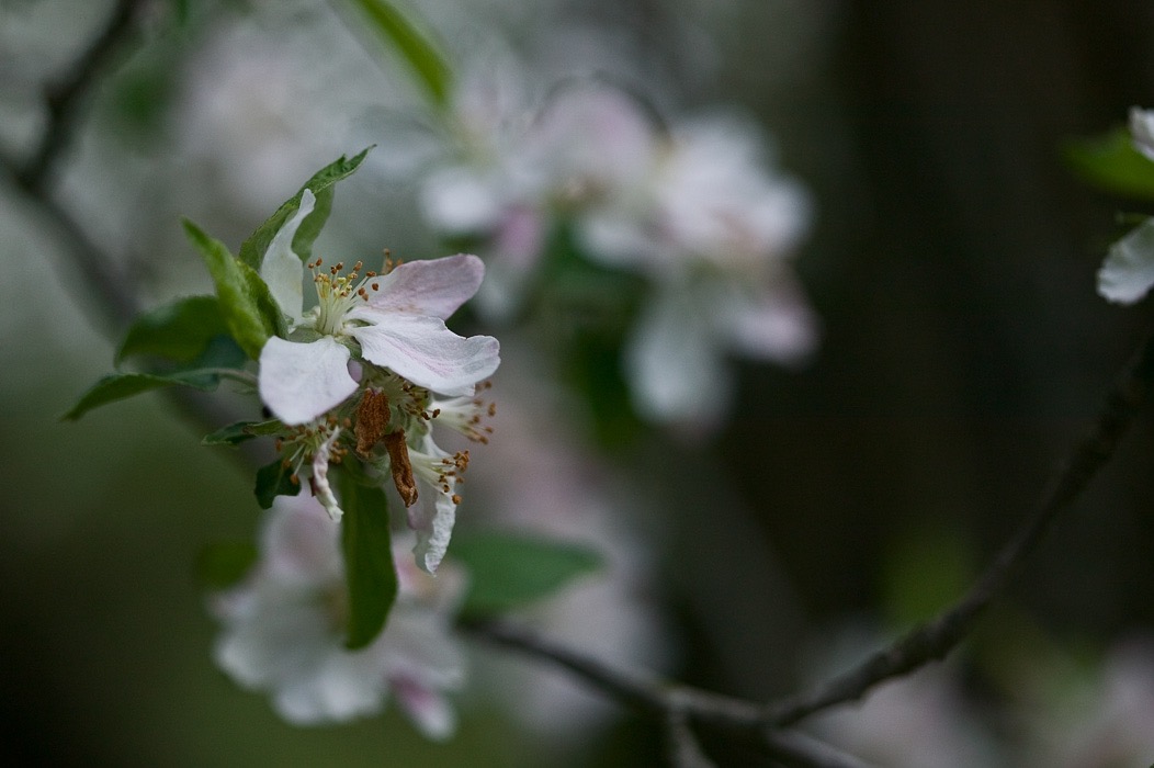 200605094757, ©Tim Medley