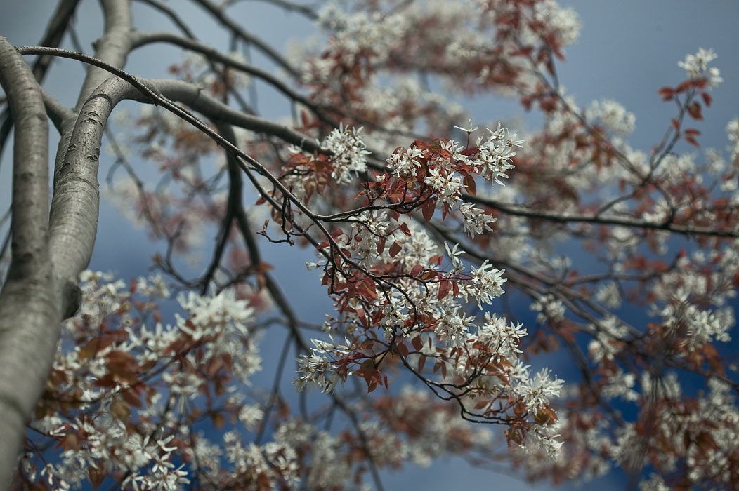 200605094788, ©Tim Medley