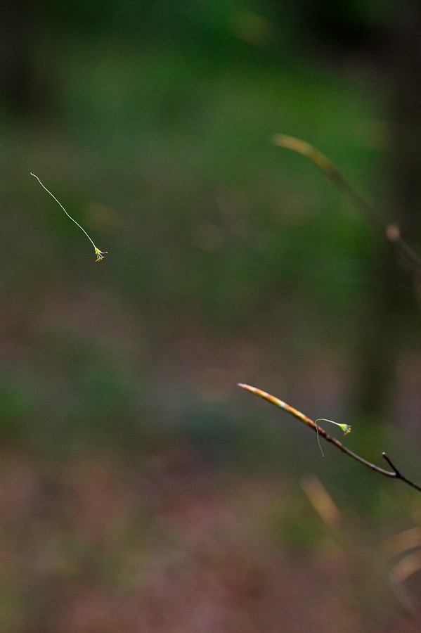 200605114963, ©Tim Medley