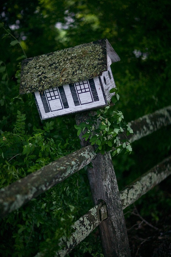 200605114988, ©Tim Medley