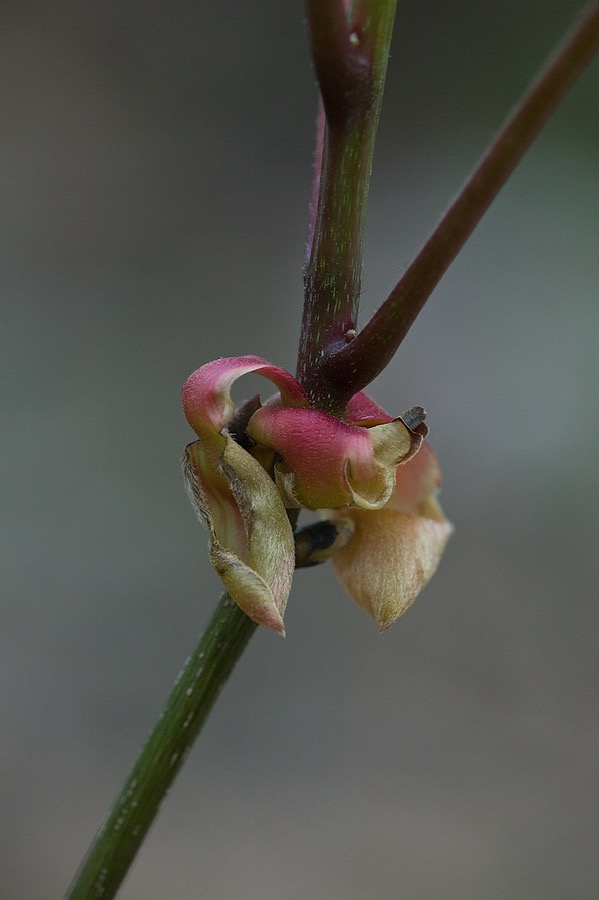 200705035266, ©Tim Medley