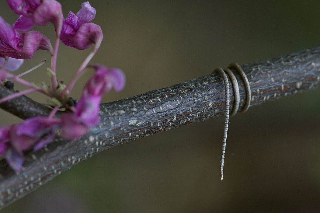 200705035269, ©Tim Medley