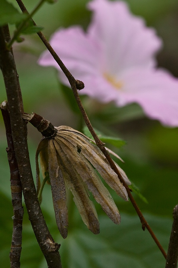 200705035332, ©Tim Medley