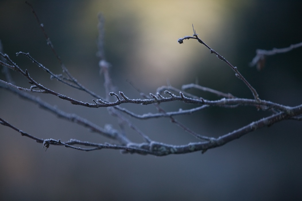 200710295495, ©Tim Medley