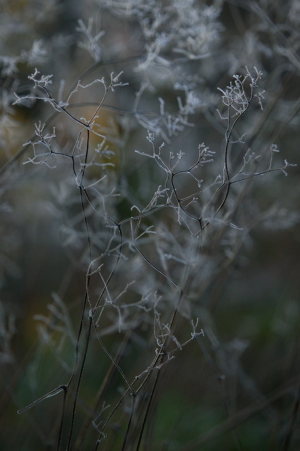 200710295519, ©Tim Medley