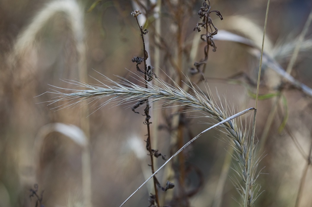 200710305567, ©Tim Medley